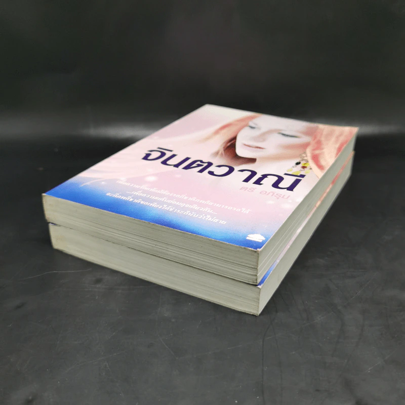 จินตวาณี 2 เล่มจบ - ตรี อภิรุม รูปที่ 7