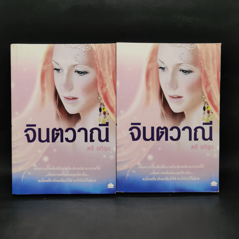 จินตวาณี 2 เล่มจบ - ตรี อภิรุม รูปที่ 1