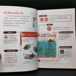 109 คำถามชวนสงสัย วิทยาศาสตร์มีคำตอบ รูปที่ 11