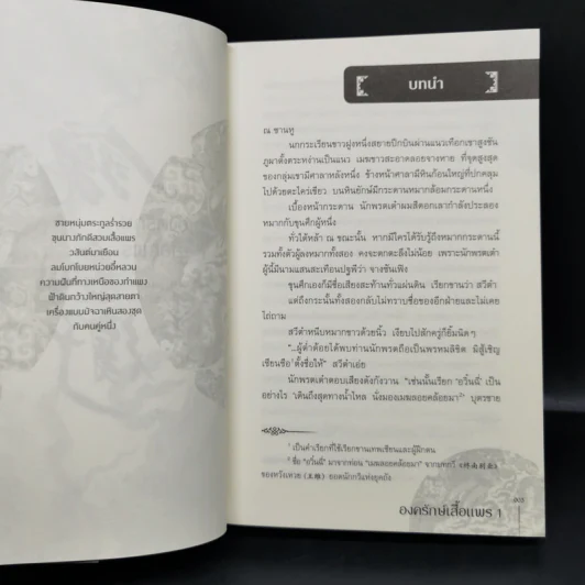 นิยายวาย องครักษ์เสื้อแพร 2 เล่มจบ - เฟยเทียนเย่เสียง รูปที่ 10