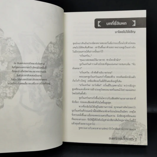 นิยายวาย องครักษ์เสื้อแพร 2 เล่มจบ - เฟยเทียนเย่เสียง รูปที่ 14