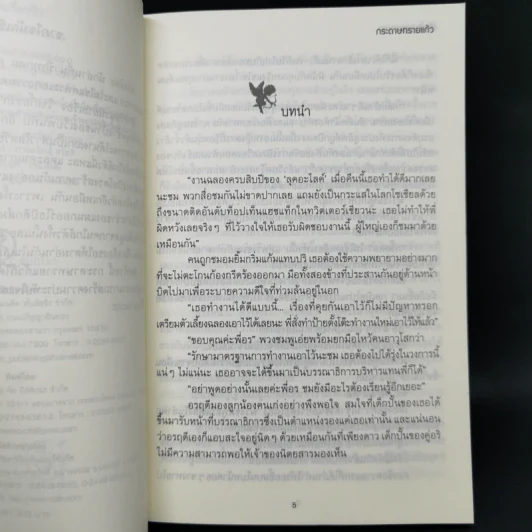 ใจเกี้ยวรัก - กระดาษทรายแก้ว รูปที่ 9