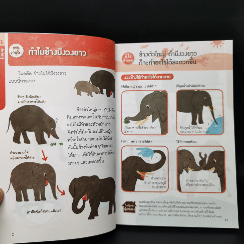 109 คำถามชวนสงสัย วิทยาศาสตร์มีคำตอบ รูปที่ 12