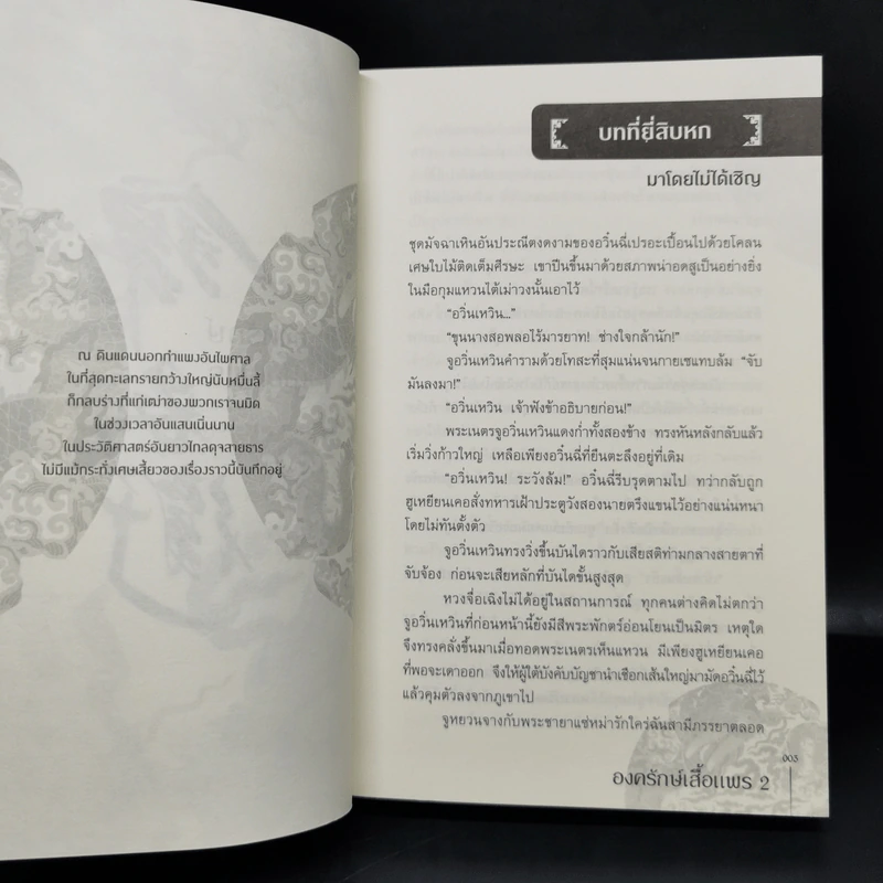 นิยายวาย องครักษ์เสื้อแพร 2 เล่มจบ - เฟยเทียนเย่เสียง รูปที่ 14