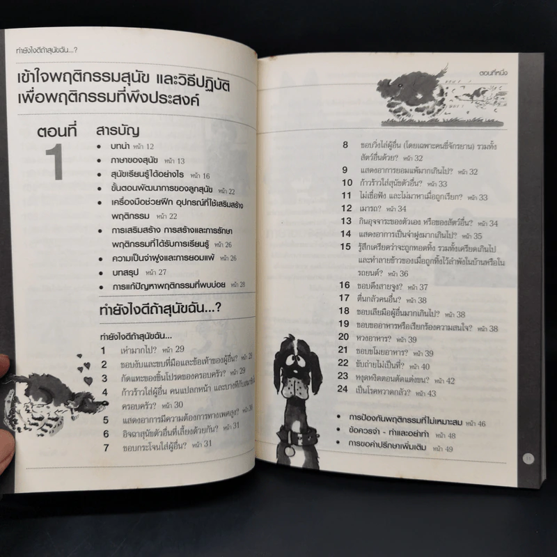 ทำยังไงดีถ้าสุนัขฉัน...? - จิม อีแวนส์ รูปที่ 12
