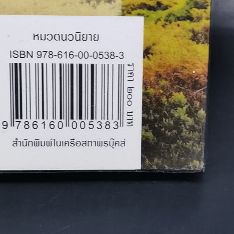 นิยายรักเรื่องปัจจุบัน - กรมาศ รูปที่ 12