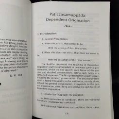 Dependent Origination The Buddhist Law of Conditionality รูปที่ 11
