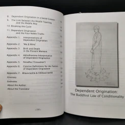 Dependent Origination The Buddhist Law of Conditionality รูปที่ 10