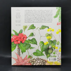 ไม้อวบน้ำ Succulents - ภวพล ศุภนันทนานนท์ รูปที่ 2