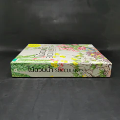 ไม้อวบน้ำ Succulents - ภวพล ศุภนันทนานนท์ รูปที่ 3