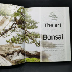 Bonsai - DK รูปที่ 10