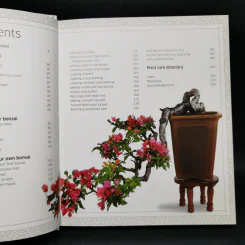 Bonsai - DK รูปที่ 9