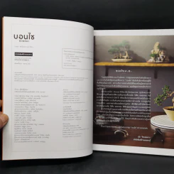บอนไซ Bonsai - ภวพล ศุภนันทนานนท์ รูปที่ 8