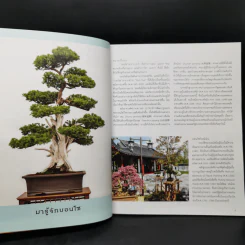 บอนไซ Bonsai - ภวพล ศุภนันทนานนท์ รูปที่ 11