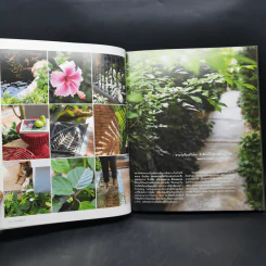สวนในบ้านเล่ม 37 สวนอยู่สบาย Cozy Garden - ทิพาพรรณ ศิริเวชฎารักษ์, ธนาศรี สัมพันธา รูปที่ 10