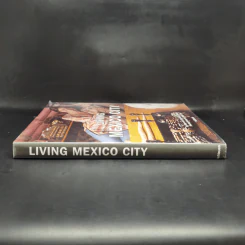 Living Mexico City รูปที่ 3