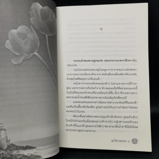 ลูกไม้ลายสนธยา - พงศกร รูปที่ 10