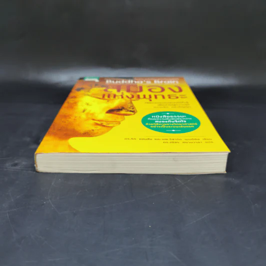 สมองแห่งพุทธะ : Buddha's Brain - Richard Mendius (ริชาร์ด แมนดิอัส), Rick Hanson (ริค แฮนสัน) รูปที่ 4