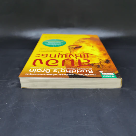 สมองแห่งพุทธะ : Buddha's Brain - Richard Mendius (ริชาร์ด แมนดิอัส), Rick Hanson (ริค แฮนสัน) รูปที่ 6