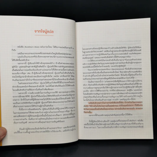 สมองแห่งพุทธะ : Buddha's Brain - Richard Mendius (ริชาร์ด แมนดิอัส), Rick Hanson (ริค แฮนสัน) รูปที่ 10