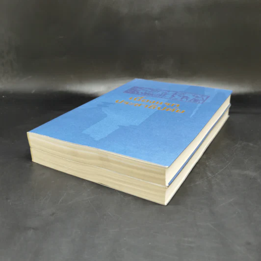 เบื้องแรกประชาธิปตัย เล่ม 1-2 รูปที่ 6