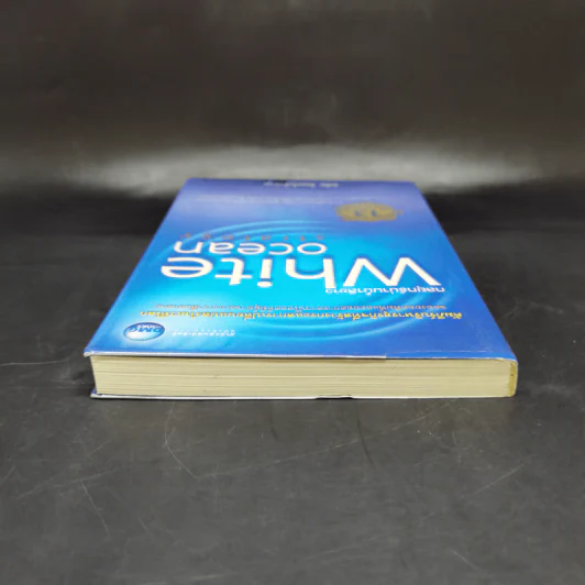 White Ocean Strategy กลยุทธ์น่านน้ำสีขาว - ดนัย จันทร์เจ้าฉาย รูปที่ 6