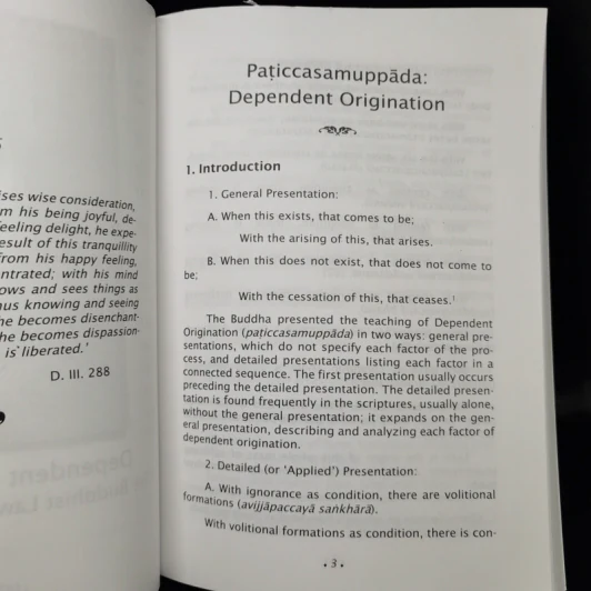 Dependent Origination The Buddhist Law of Conditionality รูปที่ 11