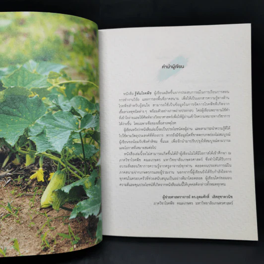 รู้ทันโรคพืช คู่มือดูแลสุขภาพต้นไม้ด้วยตัวเอง - ผศ.ดร. อุดมศักดิ์ เลิศสุชาตวนิช รูปที่ 10