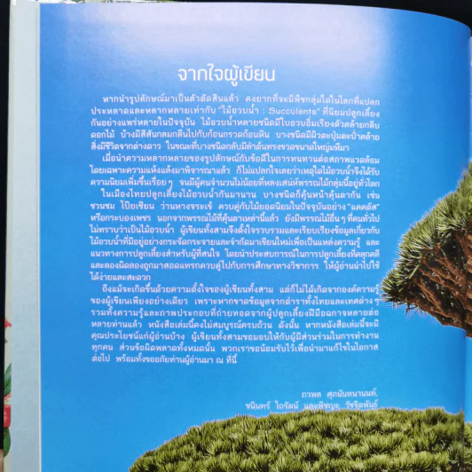ไม้อวบน้ำ Succulents - ภวพล ศุภนันทนานนท์ รูปที่ 10
