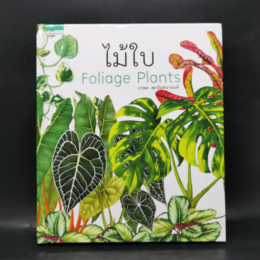 ไม้ใบ Foliage Plants - ภวพล ศุภนันทนานนท์ รูปที่ 1