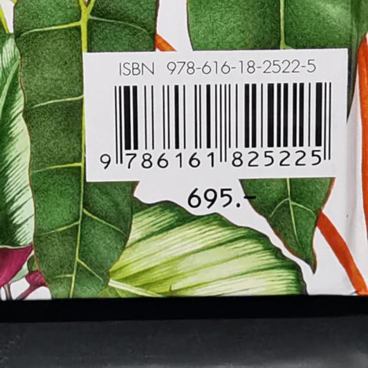 ไม้ใบ Foliage Plants - ภวพล ศุภนันทนานนท์ รูปที่ 17