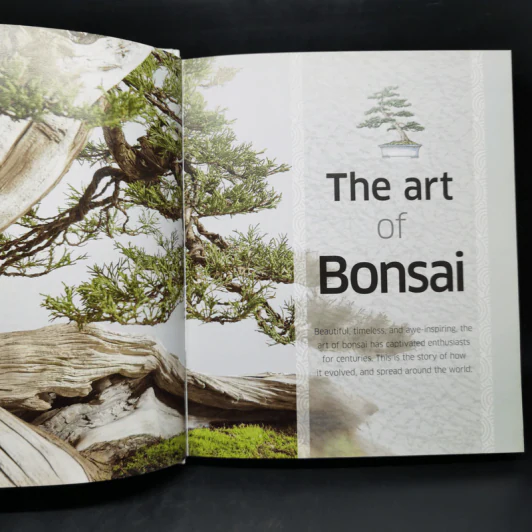 Bonsai - DK รูปที่ 10