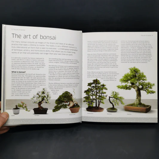 Bonsai - DK รูปที่ 11