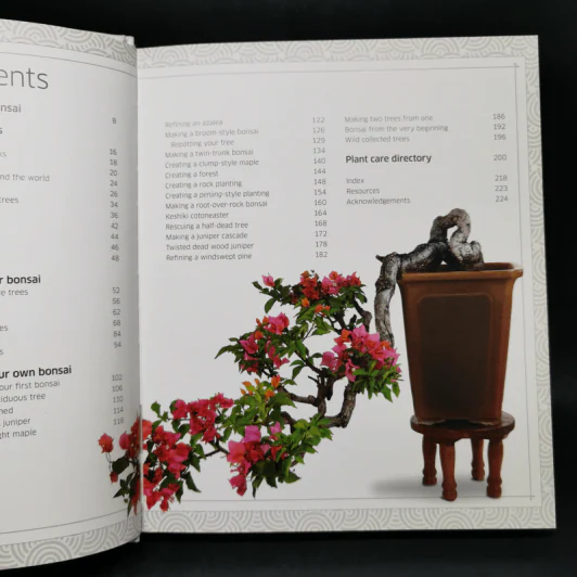Bonsai - DK รูปที่ 9
