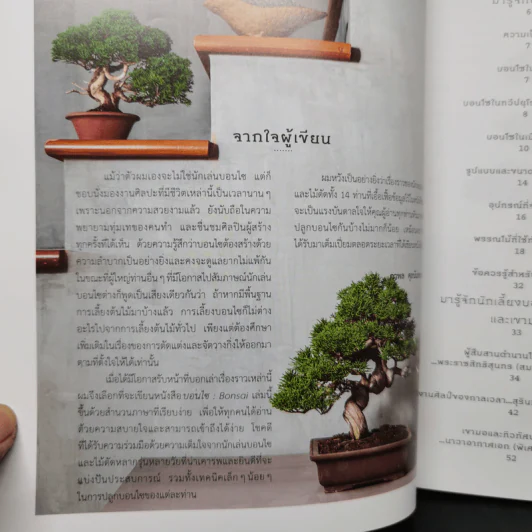 บอนไซ Bonsai - ภวพล ศุภนันทนานนท์ รูปที่ 9