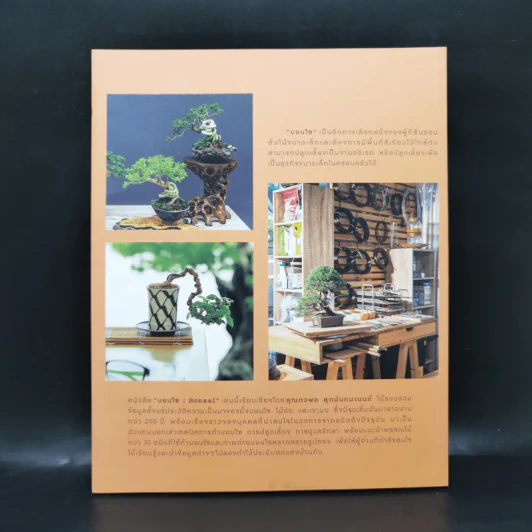 บอนไซ Bonsai - ภวพล ศุภนันทนานนท์ รูปที่ 2