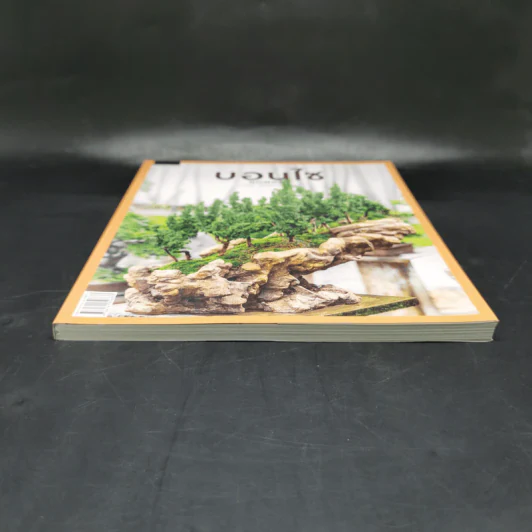 บอนไซ Bonsai - ภวพล ศุภนันทนานนท์ รูปที่ 4
