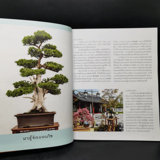 บอนไซ Bonsai - ภวพล ศุภนันทนานนท์ รูปที่ 11