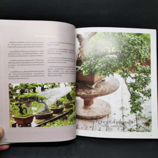 บอนไซ Bonsai - ภวพล ศุภนันทนานนท์ รูปที่ 13