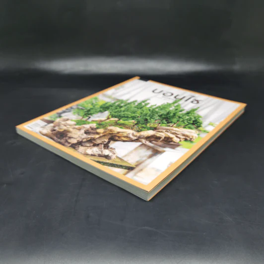 บอนไซ Bonsai - ภวพล ศุภนันทนานนท์ รูปที่ 7