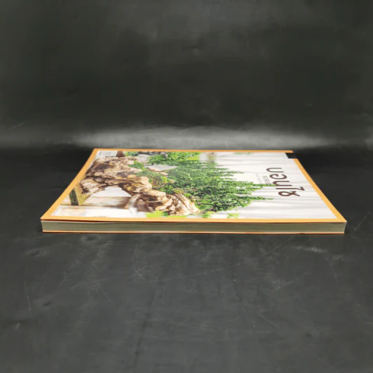 บอนไซ Bonsai - ภวพล ศุภนันทนานนท์ รูปที่ 5