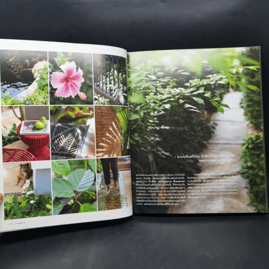 สวนในบ้านเล่ม 37 สวนอยู่สบาย Cozy Garden - ทิพาพรรณ ศิริเวชฎารักษ์, ธนาศรี สัมพันธา รูปที่ 10