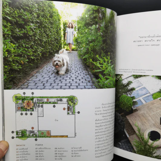 สวนในบ้านเล่ม 37 สวนอยู่สบาย Cozy Garden - ทิพาพรรณ ศิริเวชฎารักษ์, ธนาศรี สัมพันธา รูปที่ 12