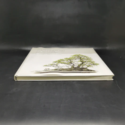 Penjing: The Chinese Art of Bonsai - Zhzo Qingquan รูปที่ 4