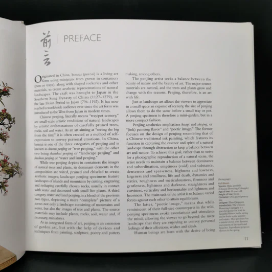 Penjing: The Chinese Art of Bonsai - Zhzo Qingquan รูปที่ 13