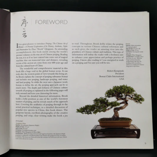 Penjing: The Chinese Art of Bonsai - Zhzo Qingquan รูปที่ 12