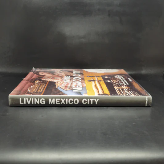 Living Mexico City รูปที่ 3