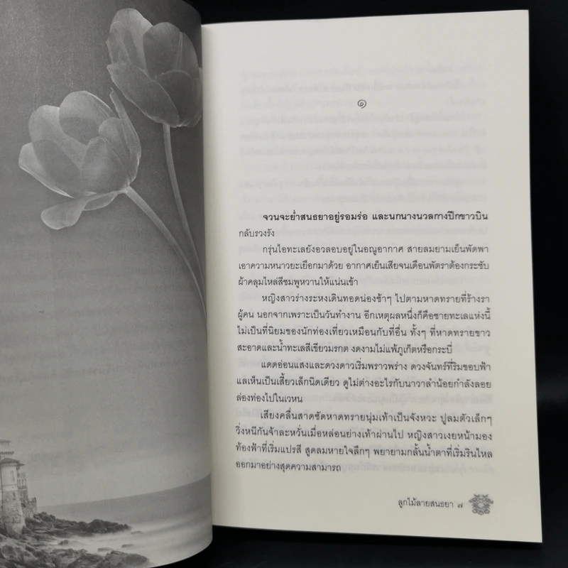 ลูกไม้ลายสนธยา - พงศกร รูปที่ 10
