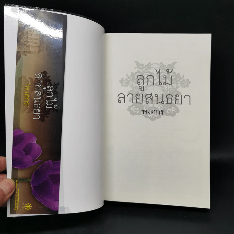 ลูกไม้ลายสนธยา - พงศกร รูปที่ 8