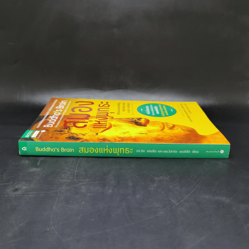 สมองแห่งพุทธะ : Buddha's Brain - Richard Mendius (ริชาร์ด แมนดิอัส), Rick Hanson (ริค แฮนสัน) รูปที่ 3